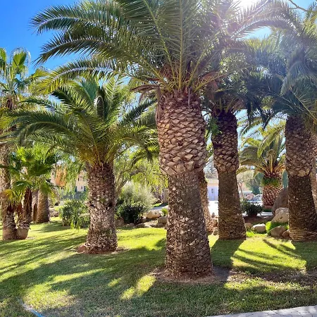 Moguima Roquetas de Mar